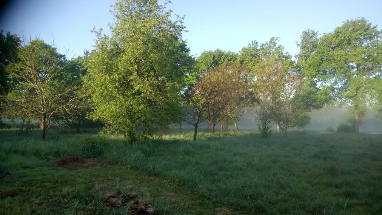 La Roulotte Chainoux Bains-sur-Oust Exteriör bild